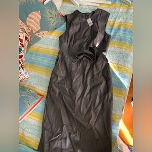 Faux leather Ann Taylor dress